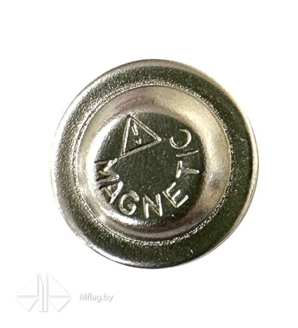 Значок Флаг Беларуси с магнитной застежкой, картинка 3