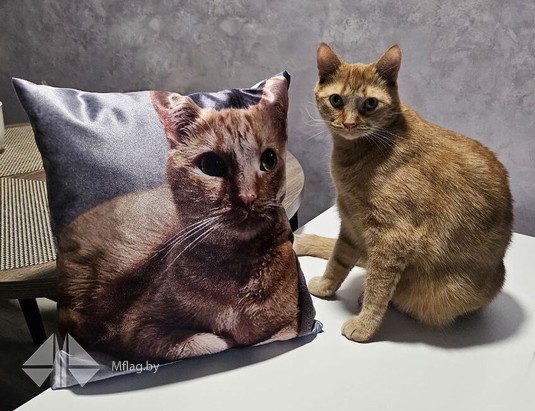 Подушки декоративные, картинка 3